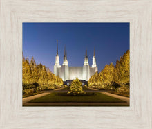 Load image into Gallery viewer, Washington DC Golden Christmas
