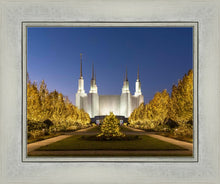 Load image into Gallery viewer, Washington DC Golden Christmas
