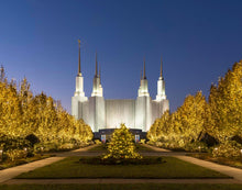 Load image into Gallery viewer, Washington DC Golden Christmas
