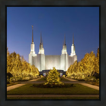 Load image into Gallery viewer, Washington DC Golden Christmas
