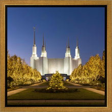 Load image into Gallery viewer, Washington DC Golden Christmas
