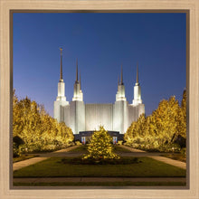 Load image into Gallery viewer, Washington DC Golden Christmas
