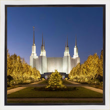 Load image into Gallery viewer, Washington DC Golden Christmas
