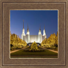 Load image into Gallery viewer, Washington DC Golden Christmas
