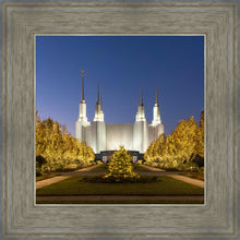 Load image into Gallery viewer, Washington DC Golden Christmas
