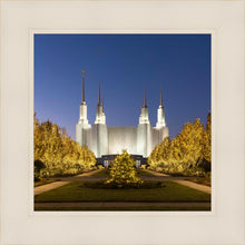 Load image into Gallery viewer, Washington DC Golden Christmas
