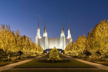 Load image into Gallery viewer, Washington DC Golden Christmas
