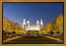 Load image into Gallery viewer, Washington DC Golden Christmas
