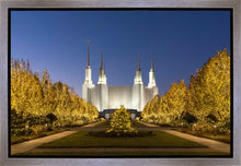 Load image into Gallery viewer, Washington DC Golden Christmas
