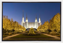 Load image into Gallery viewer, Washington DC Golden Christmas
