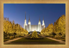 Load image into Gallery viewer, Washington DC Golden Christmas
