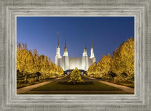 Load image into Gallery viewer, Washington DC Golden Christmas
