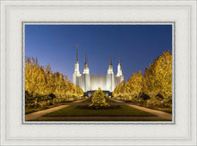 Load image into Gallery viewer, Washington DC Golden Christmas

