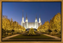 Load image into Gallery viewer, Washington DC Golden Christmas
