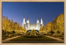 Load image into Gallery viewer, Washington DC Golden Christmas
