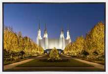 Load image into Gallery viewer, Washington DC Golden Christmas
