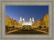 Load image into Gallery viewer, Washington DC Golden Christmas
