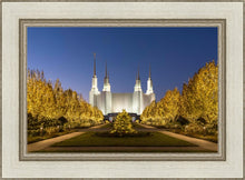 Load image into Gallery viewer, Washington DC Golden Christmas
