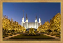 Load image into Gallery viewer, Washington DC Golden Christmas
