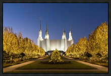 Load image into Gallery viewer, Washington DC Golden Christmas
