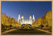 Load image into Gallery viewer, Washington DC Golden Christmas
