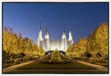 Load image into Gallery viewer, Washington DC Golden Christmas

