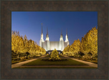 Load image into Gallery viewer, Washington DC Golden Christmas
