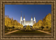 Load image into Gallery viewer, Washington DC Golden Christmas
