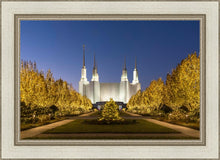 Load image into Gallery viewer, Washington DC Golden Christmas
