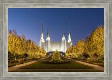 Load image into Gallery viewer, Washington DC Golden Christmas
