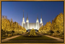 Load image into Gallery viewer, Washington DC Golden Christmas

