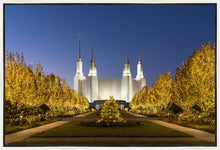 Load image into Gallery viewer, Washington DC Golden Christmas
