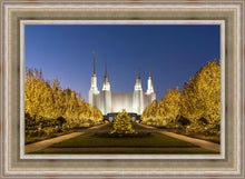 Load image into Gallery viewer, Washington DC Golden Christmas

