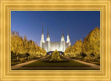 Load image into Gallery viewer, Washington DC Golden Christmas
