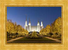 Load image into Gallery viewer, Washington DC Golden Christmas

