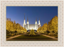 Load image into Gallery viewer, Washington DC Golden Christmas
