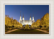 Load image into Gallery viewer, Washington DC Golden Christmas
