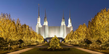 Load image into Gallery viewer, Washington DC Golden Christmas
