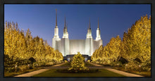Load image into Gallery viewer, Washington DC Golden Christmas
