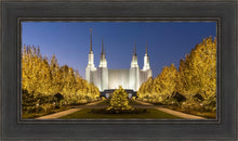 Load image into Gallery viewer, Washington DC Golden Christmas
