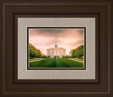 Load image into Gallery viewer, St. Louis Temple Brighter Days Ahead
