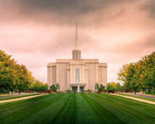 Load image into Gallery viewer, St. Louis Temple Brighter Days Ahead
