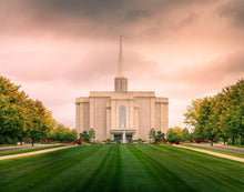 Load image into Gallery viewer, St. Louis Temple Brighter Days Ahead
