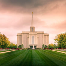 Load image into Gallery viewer, St. Louis Temple Brighter Days Ahead
