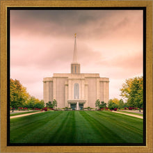 Load image into Gallery viewer, St. Louis Temple Brighter Days Ahead
