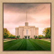 Load image into Gallery viewer, St. Louis Temple Brighter Days Ahead
