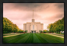Load image into Gallery viewer, St. Louis Temple Brighter Days Ahead
