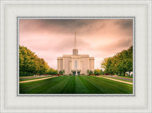 Load image into Gallery viewer, St. Louis Temple Brighter Days Ahead
