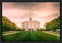 Load image into Gallery viewer, St. Louis Temple Brighter Days Ahead
