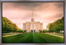Load image into Gallery viewer, St. Louis Temple Brighter Days Ahead
